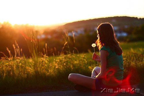 早安心语:以一颗无尘的心,还原生命的本真 (2)