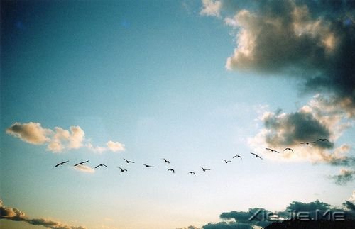 晚安心语:输什么也不能输了心情 (1)