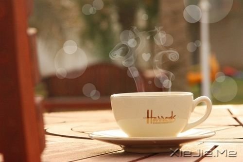 早安心语:生活就要像疯子一样的过,才能忘记生命给我们的颠簸 (8)