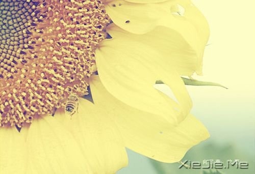 早安心语:童心未泯,是一件值得骄傲的事情 (1)