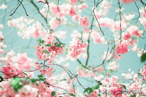 早安心语:童心未泯,是一件值得骄傲的事情 (3)