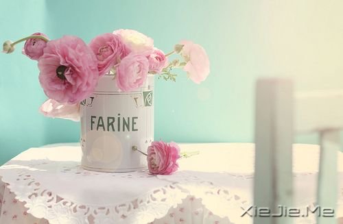 浪漫的花朵图片 (6)